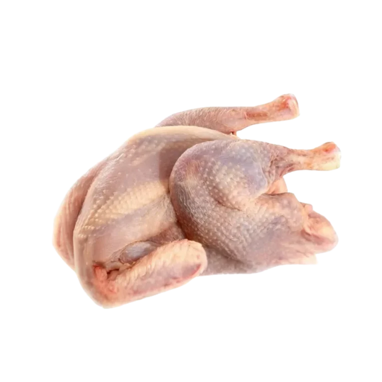 Hard Chicken / Boiler / Hen