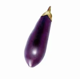 Aubergine