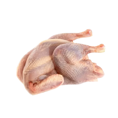 Hard Chicken / Boiler / Hen